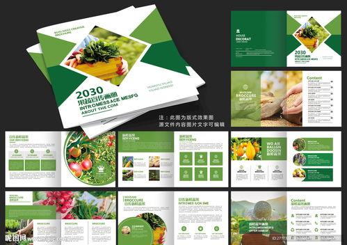 果蔬畫(huà)冊(cè)設(shè)計(jì) 視覺(jué)誘惑與營(yíng)銷(xiāo)的藝術(shù)結(jié)合